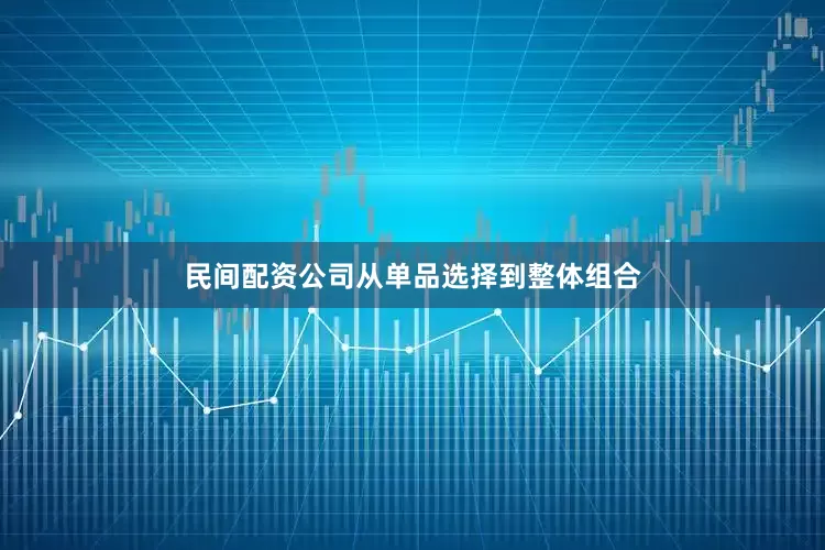 民间配资公司从单品选择到整体组合