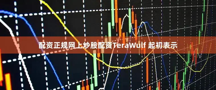 配资正规网上炒股配资TeraWulf 起初表示