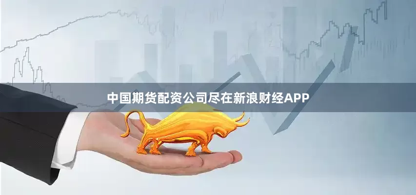 中国期货配资公司尽在新浪财经APP