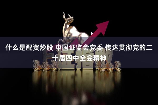 什么是配资炒股 中国证监会党委 传达贯彻党的二十届四中全会精神